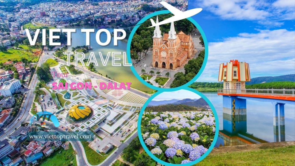 viet up travel